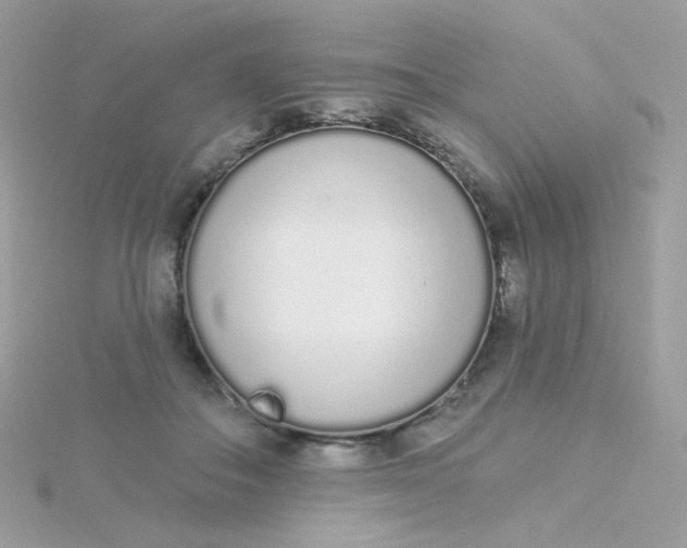 X0000115710506200911251859