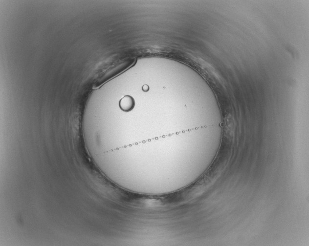 X0000115710509200911251859