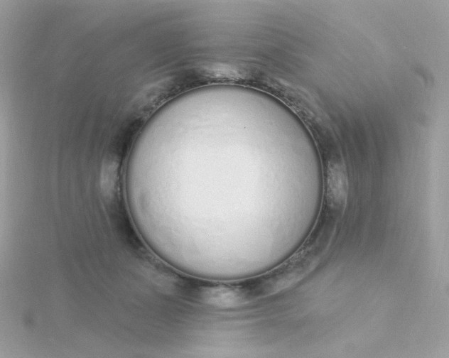 X0000115710511200911251859