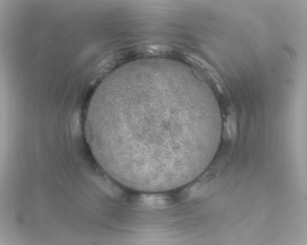 X0000115710520200911251859