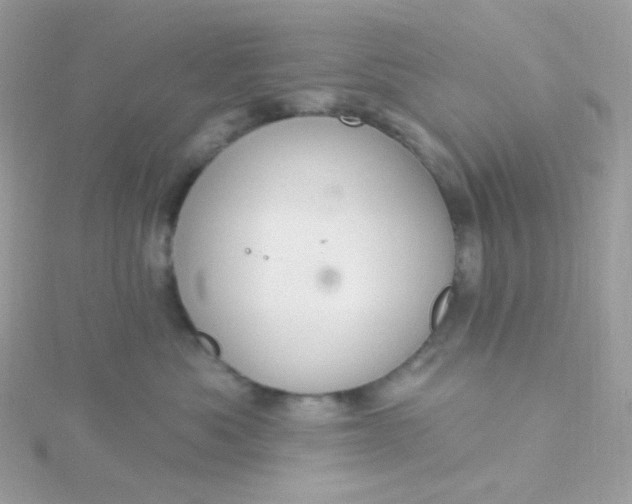 X0000115710525200911251859