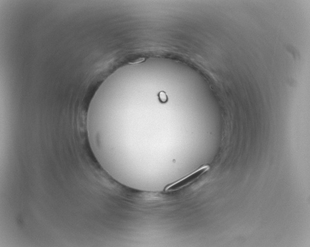 X0000115710528200911251859