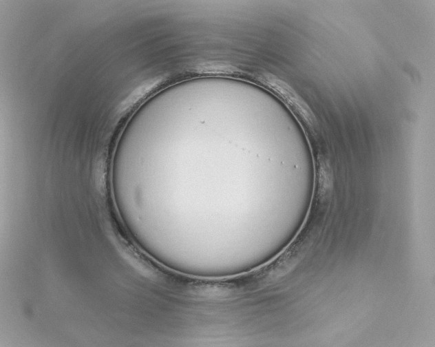 X0000115710533200911251858