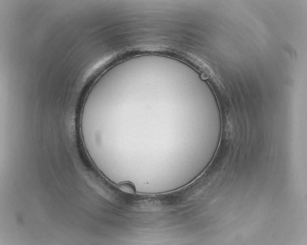 X0000115710535200911251858