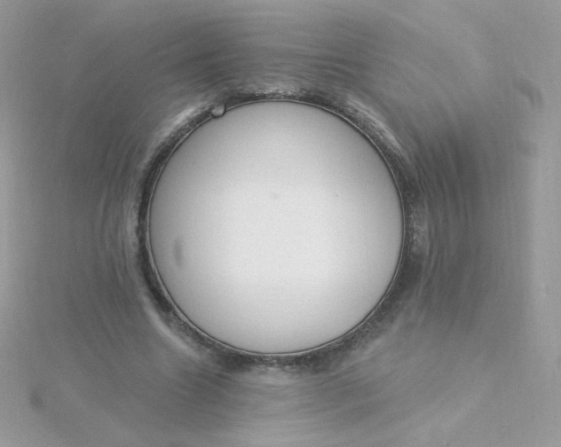 X0000115710538200911251858