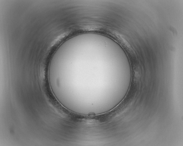 X0000115710539200911251858