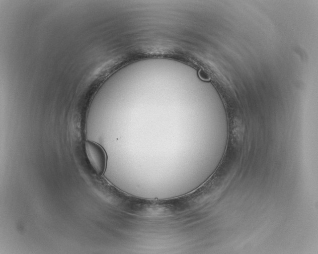 X0000115710547200911251858