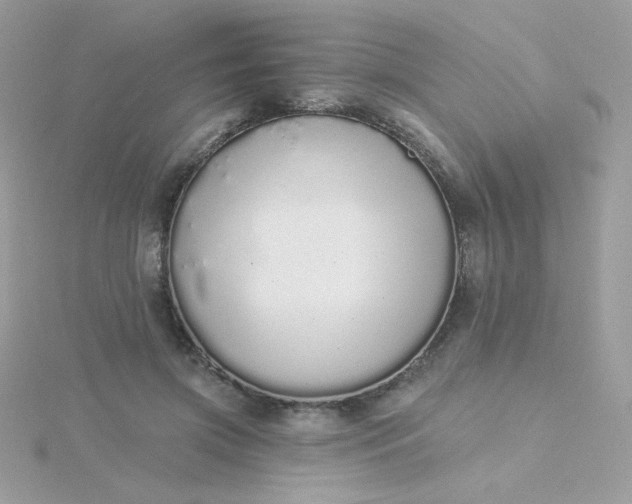 X0000115710549200911251858