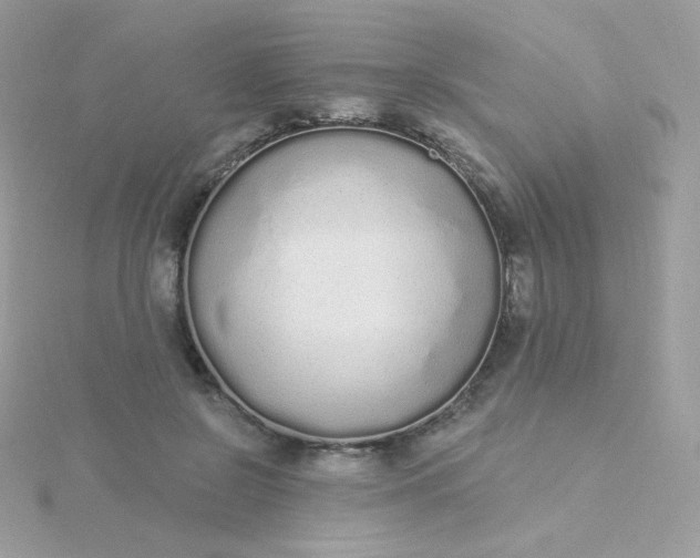 X0000115710550200911251858