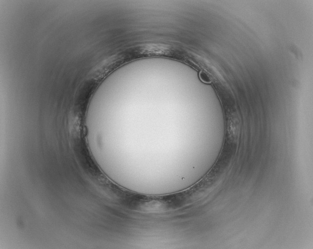 X0000115710551200911251858