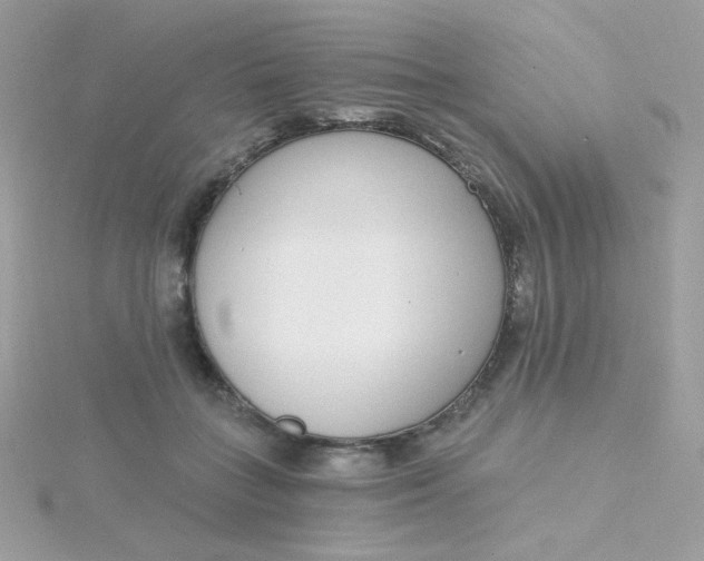 X0000115710555200911251858