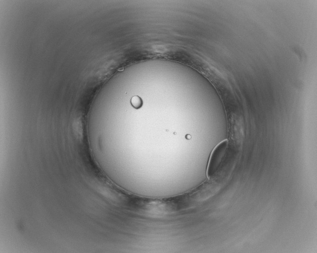 X0000115710562200911251858