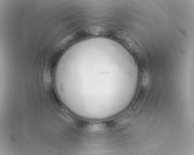 X0000115710569200911251859