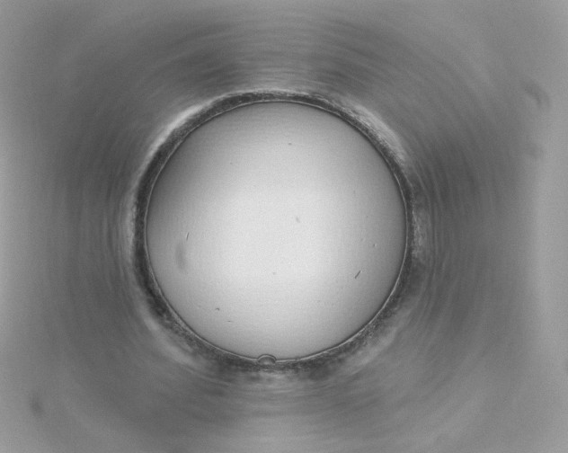 X0000115710580200911251858