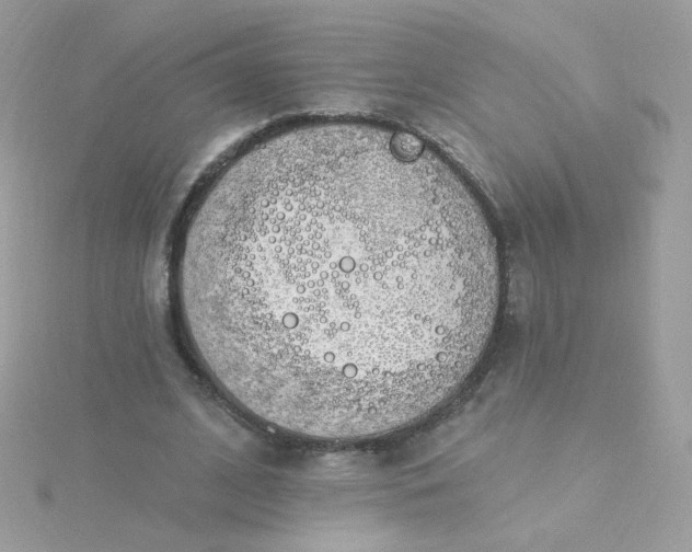 X0000115710584200911251858