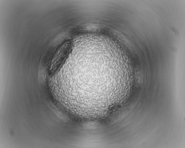 X0000115710593200911251858