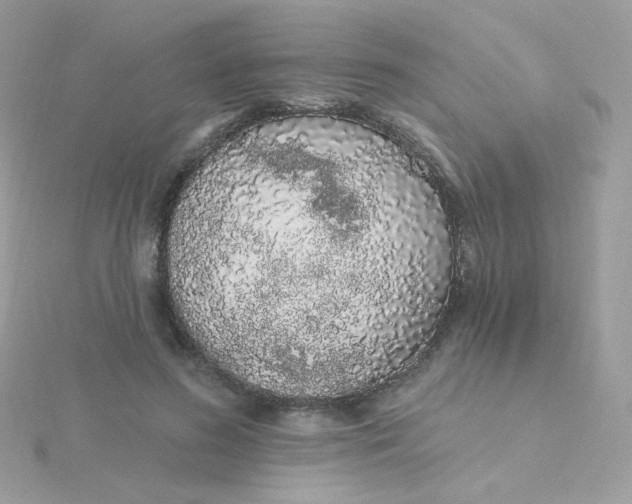 X0000115710596200911251858