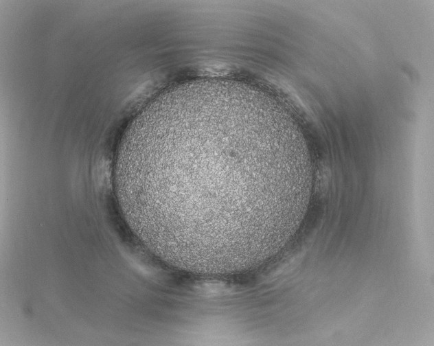 X0000115710598200911251858