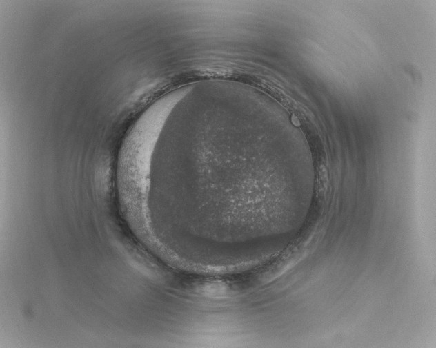 X0000115710600200911251858