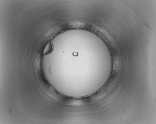 X0000115710604200911251858