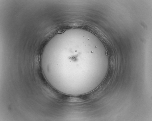 X0000115710605200911251858