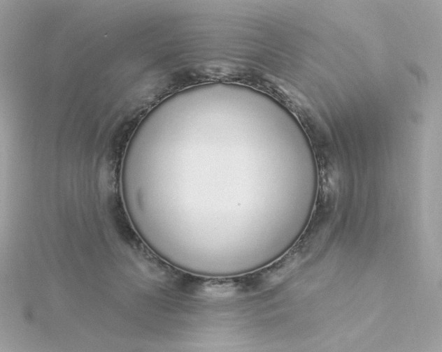 X0000115710606200911251858