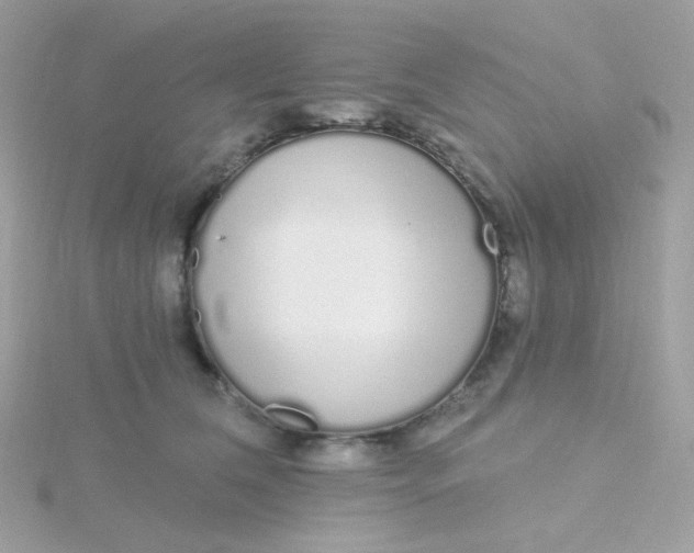 X0000115710612200911251858