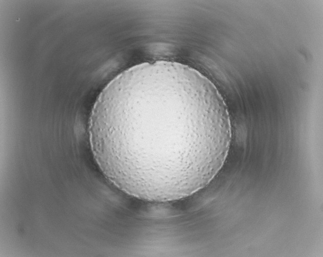 X0000115710618200911251857