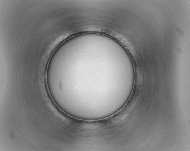 X0000115710625200911251857