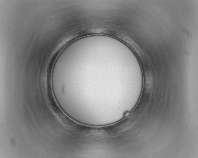 X0000115710626200911251857