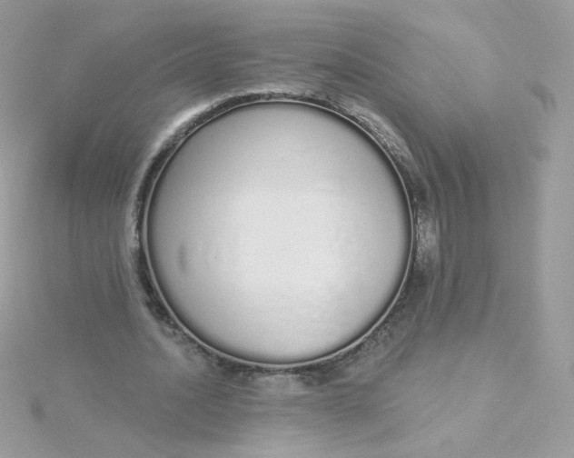 X0000115710628200911251857