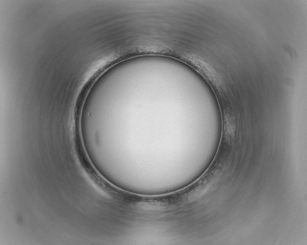 X0000115710630200911251857