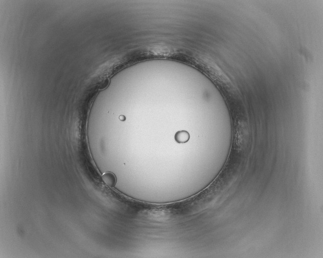 X0000115710639200911251857