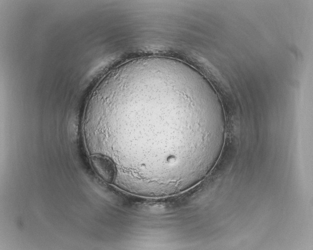 X0000115710640200911251857