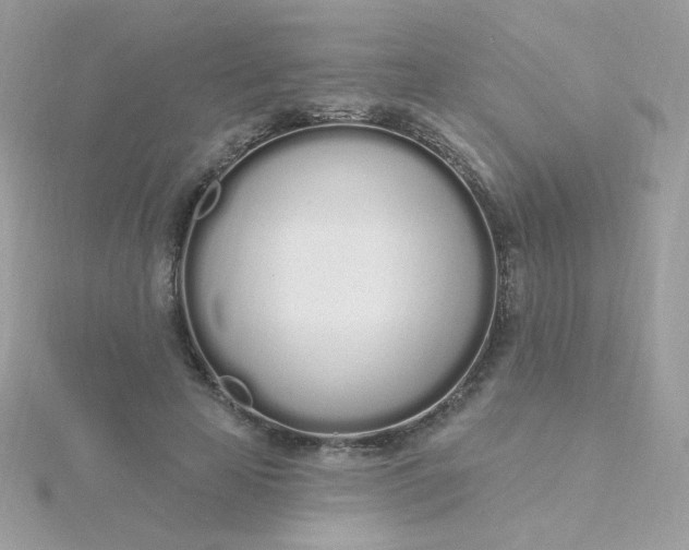 X0000115710641200911251857