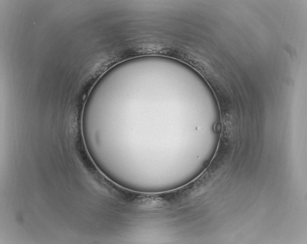 X0000115710642200911251857