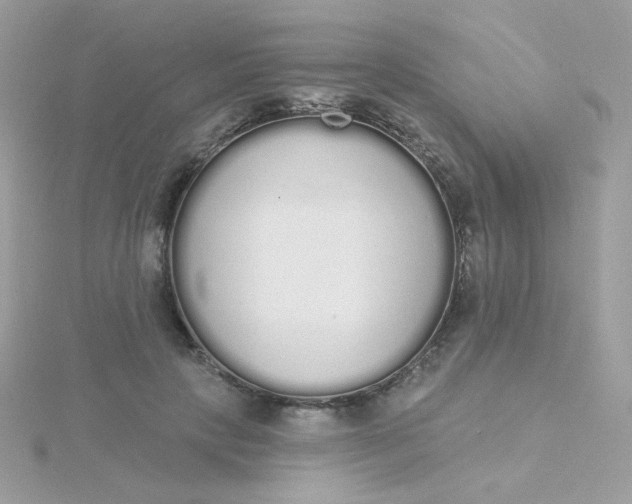 X0000115710649200911251857