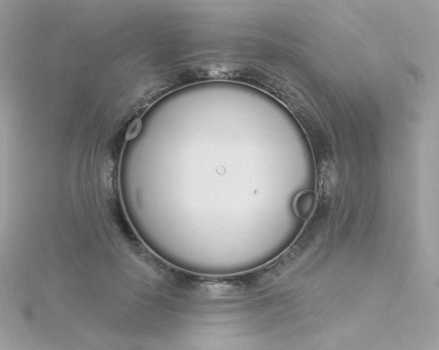 X0000115710650200911251857