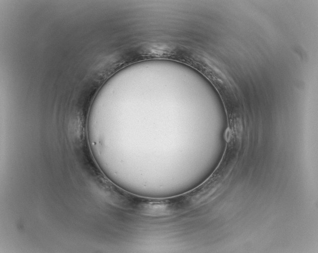 X0000115710651200911251857