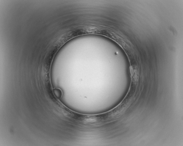 X0000115710653200911251857