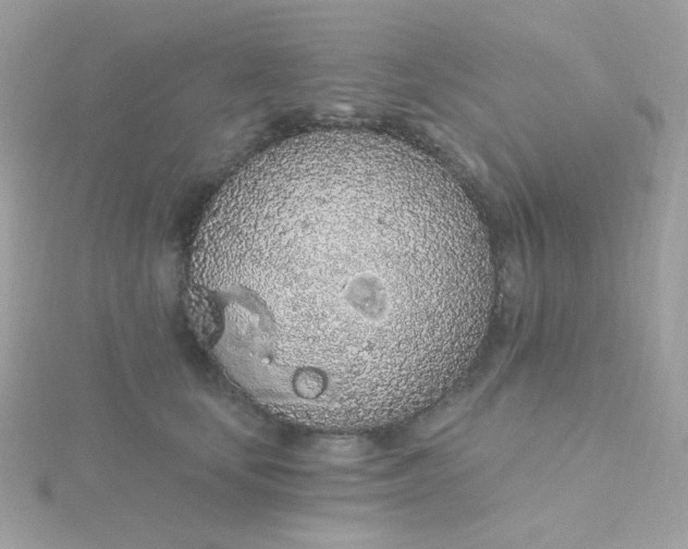 X0000115710659200911251857