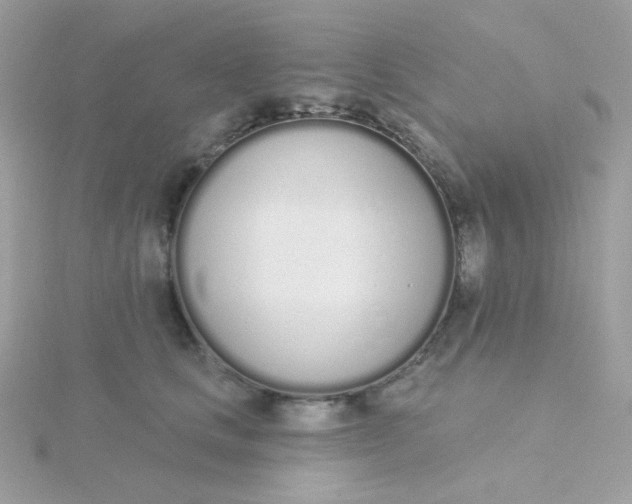 X0000115710661200911251857