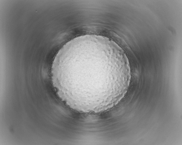 X0000115710663200911251857