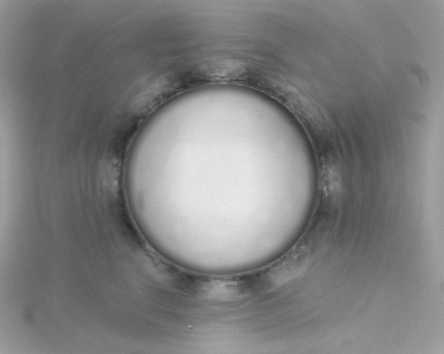 X0000115710664200911251857