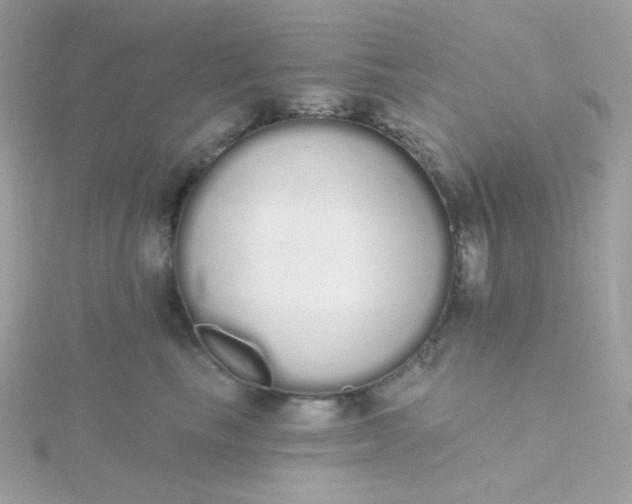 X0000115710665200911251857