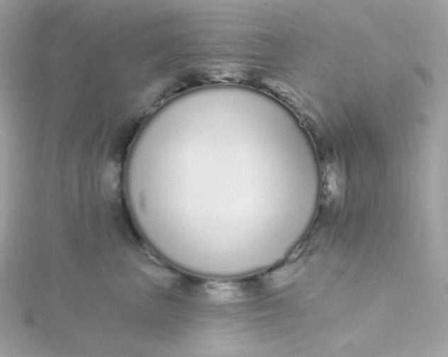 X0000115710667200911251857