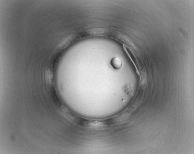 X0000115710669200911251857