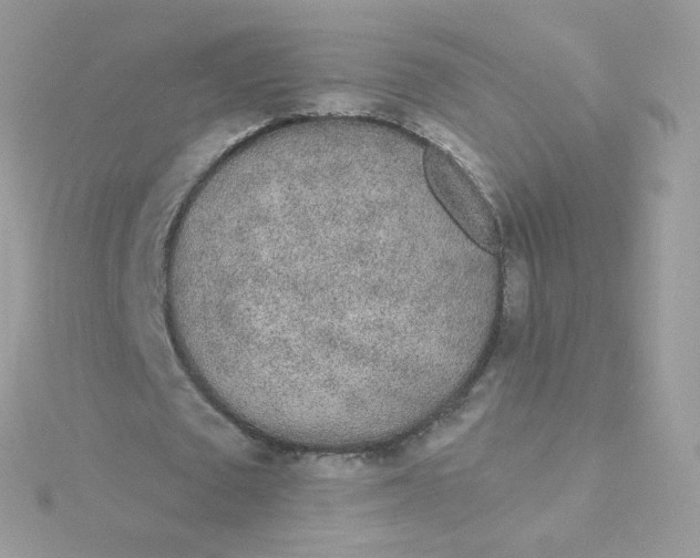 X0000115710673200911251857