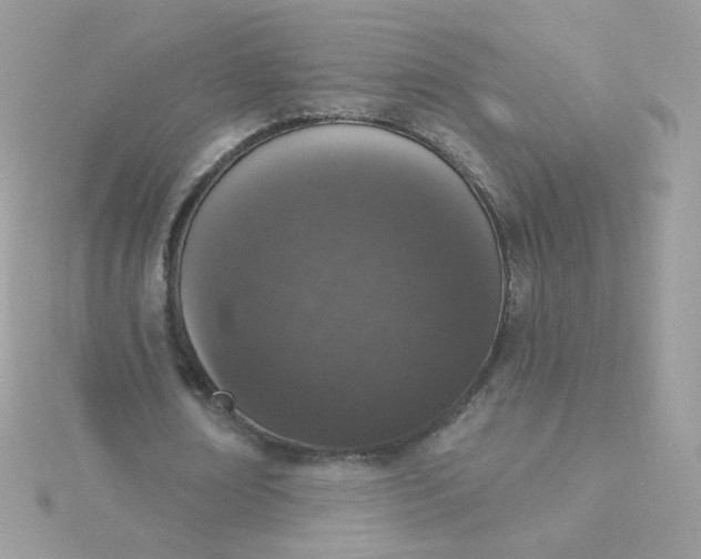 X0000115710674200911251857