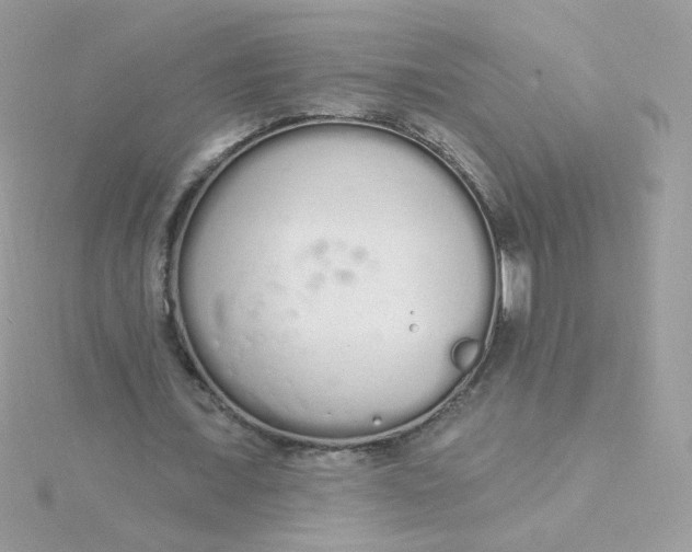 X0000115710675200911251857